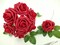 25pcs Artificial Flowers Real Looking Foam Roses Decoration DIY